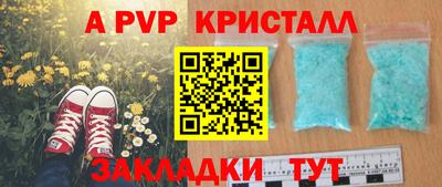 стафф Будённовск