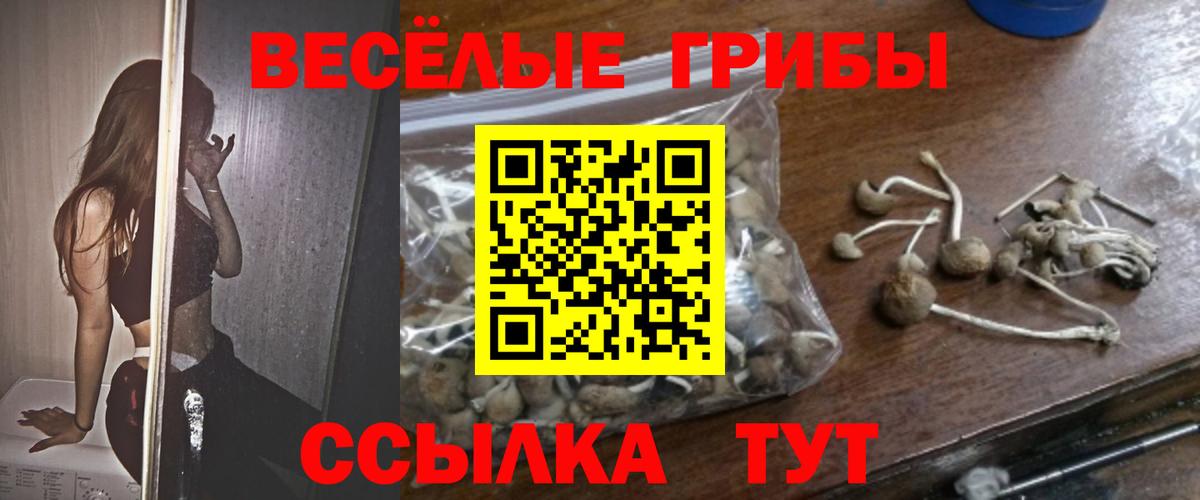где найти наркотики  Псилоцибиновые грибы Magic Shrooms  Вход с VPN  Чехов 