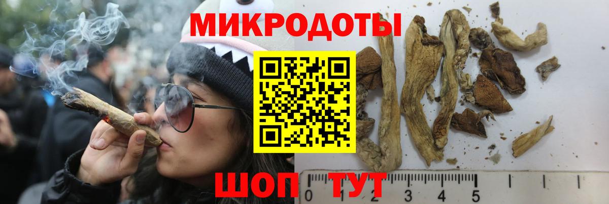 Галлюциногенные грибы GOLDEN TEACHER Чехов